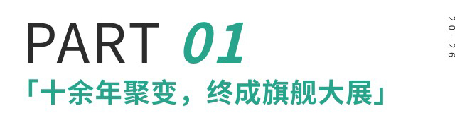 1754450256656245.jpg 3.jpg